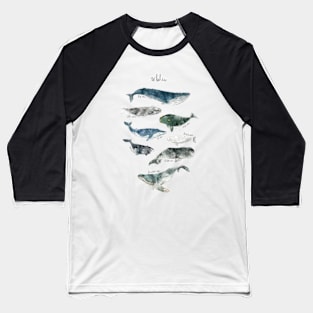 Whales Baseball T-Shirt